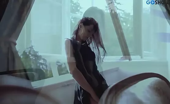 Erotic Allure Brunette Seductress in Black Dress Stockings